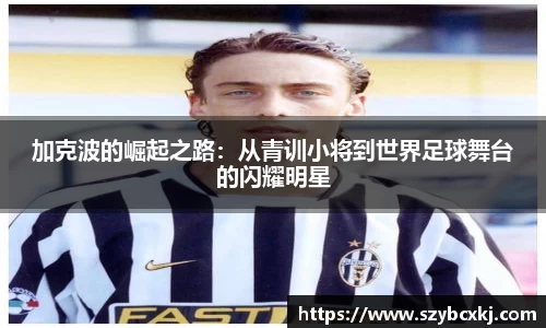zoty中欧体育官方网站
